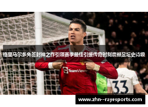 格里马尔多免签封神之作引领赛季最佳引援传奇时刻震撼足坛史诗级